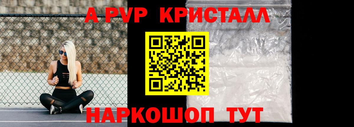 Альфа ПВП СК Нарткала