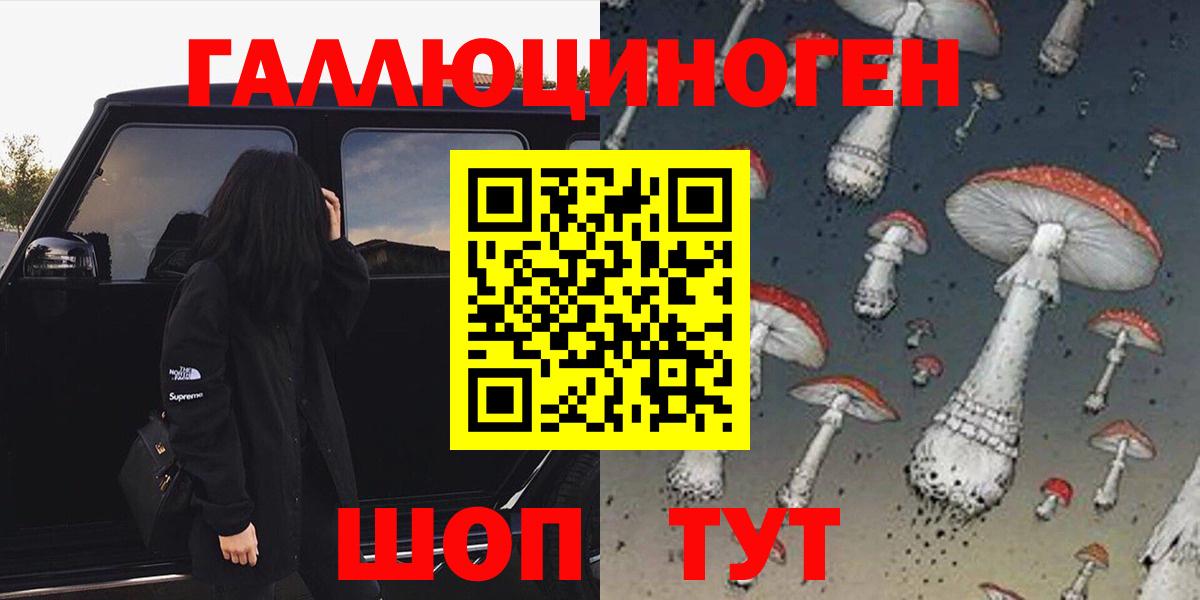 Нарткала  Псилоцибиновые грибы Psilocybe  Вход с VPN 